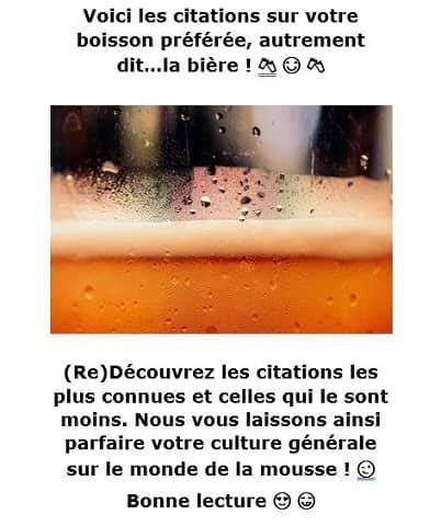 Ebook Des Citations Sur La Bière, Chopedebiere